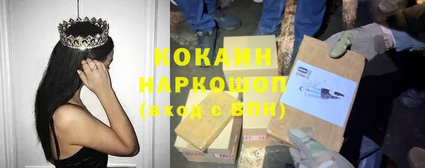 прущий лед Алзамай